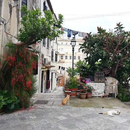 The Grey House *